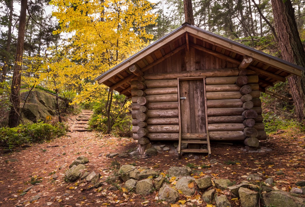 Log cabin in a forest in the fall.