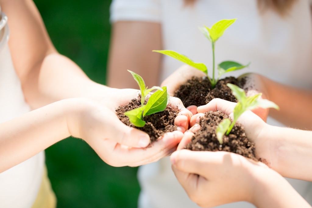 tree planting