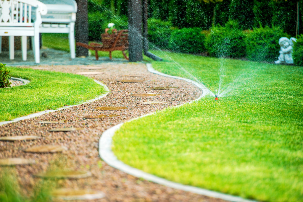 garden with lawn