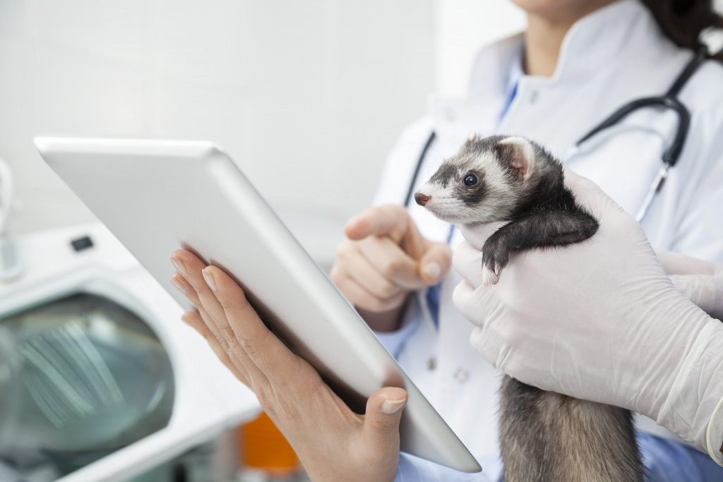 doctor holding an animal