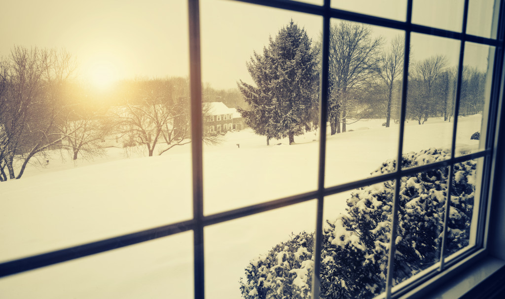 winter seen from a window