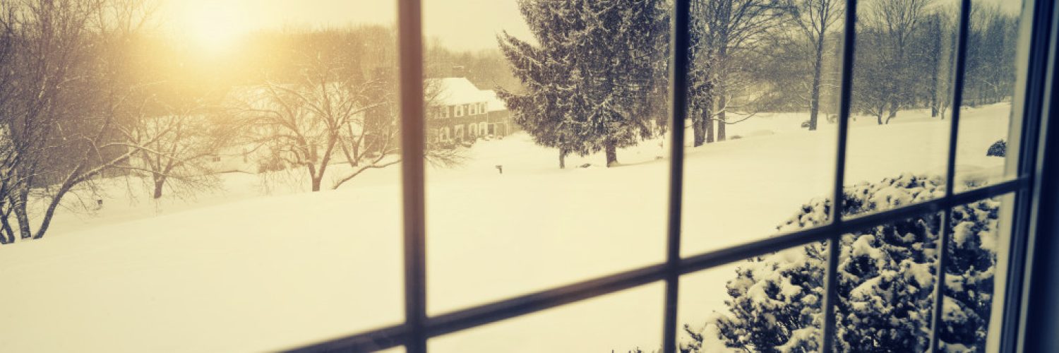 winter seen from a window